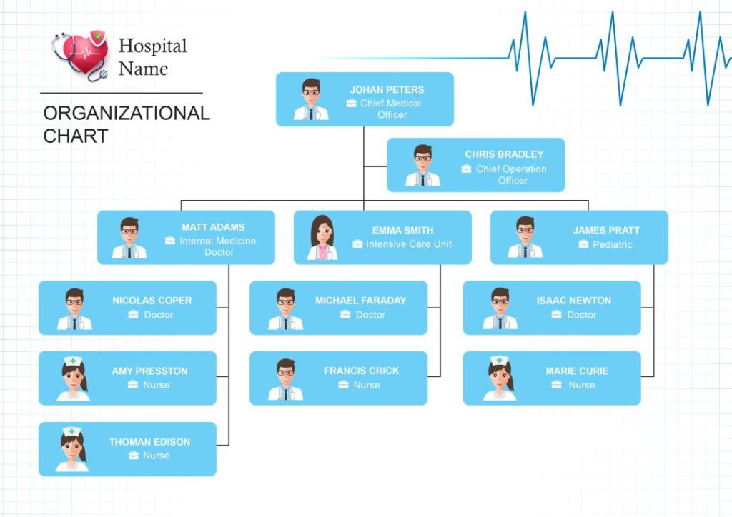 دانلود نمودار Hospital Organizational Chart 2