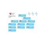 دانلود نمودار Hospital Organizational Chart 2