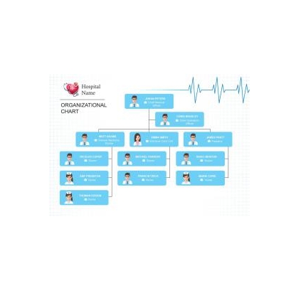 دانلود نمودار Hospital Organizational Chart 2 1