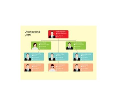 دانلود نمودار Org Chart Template 5