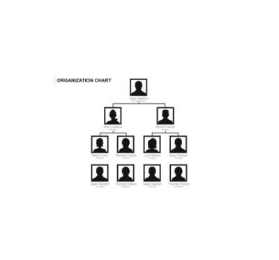 دانلود نمودار Org Chart Template Word 10