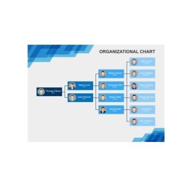 دانلود نمودار Org Chart Template Word 11