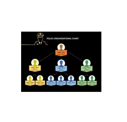 دانلود نمودار Police Organizational Chart 1