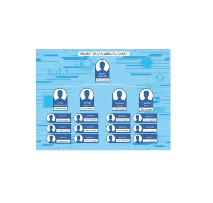 دانلود نمودار Project Organizational Chart 1